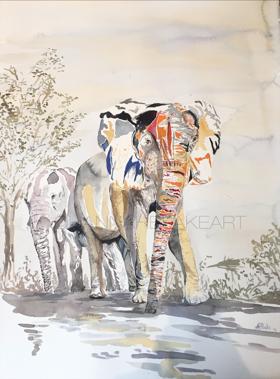 Early Morning at the Waterhole